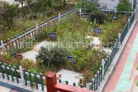 河南污水处置惩罚装备有哪些优点