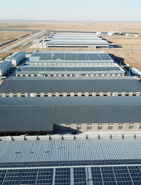 20191208063850_61468